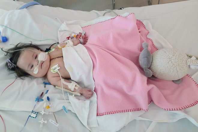 Meet Cheyenne: a little miracle with a fighting spirit