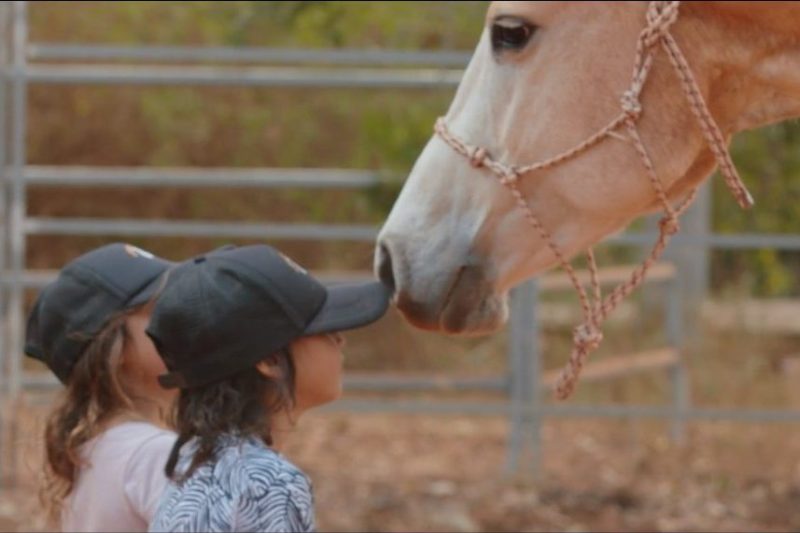 The Healing Power of Horses