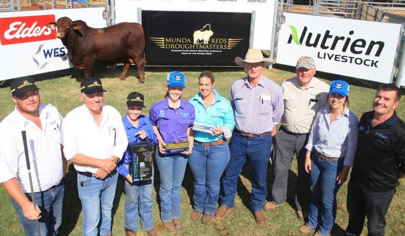 Munda Reds Droughtmaster bull raises $26,000 for Telethon